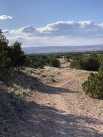 A view of shrubs and trees from the Sandia Mountains with the valley in the background